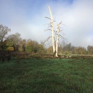 Meet your Posher, Kathleen